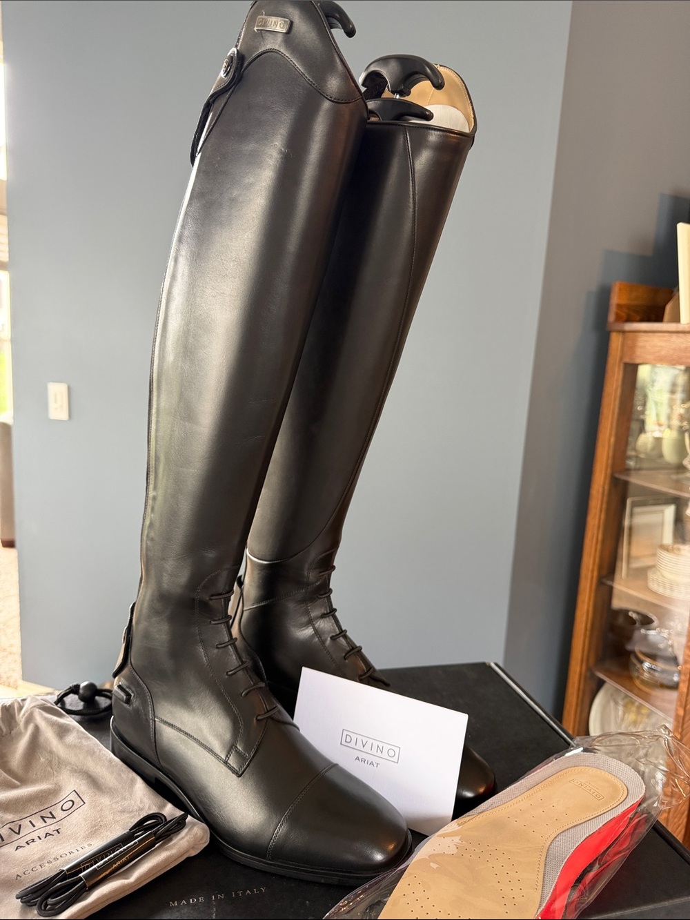 ⭐️NEW⭐️ Ariat Divino Tall Riding Boots - Size 9